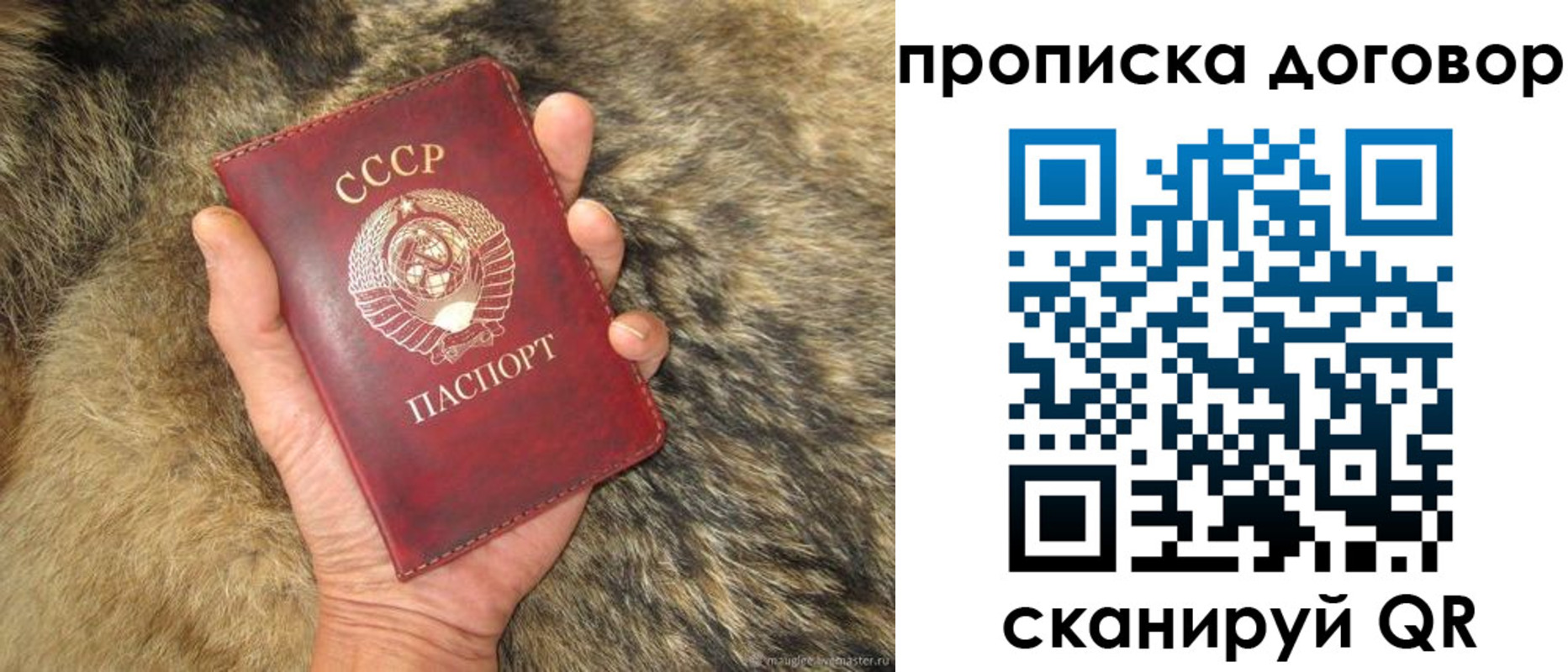 прописка регистрация в Сорочинске